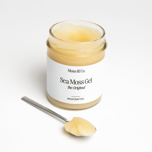 Kalla, röda Sea Moss Gel från Moss & Co. i glasburk, visar den krämiga texturen och naturliga färgen.