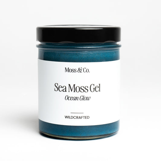 Sea Moss Gel från Moss & Co., visad i en glasburk med grönt gelé, på en träbänk med naturligt ljus.